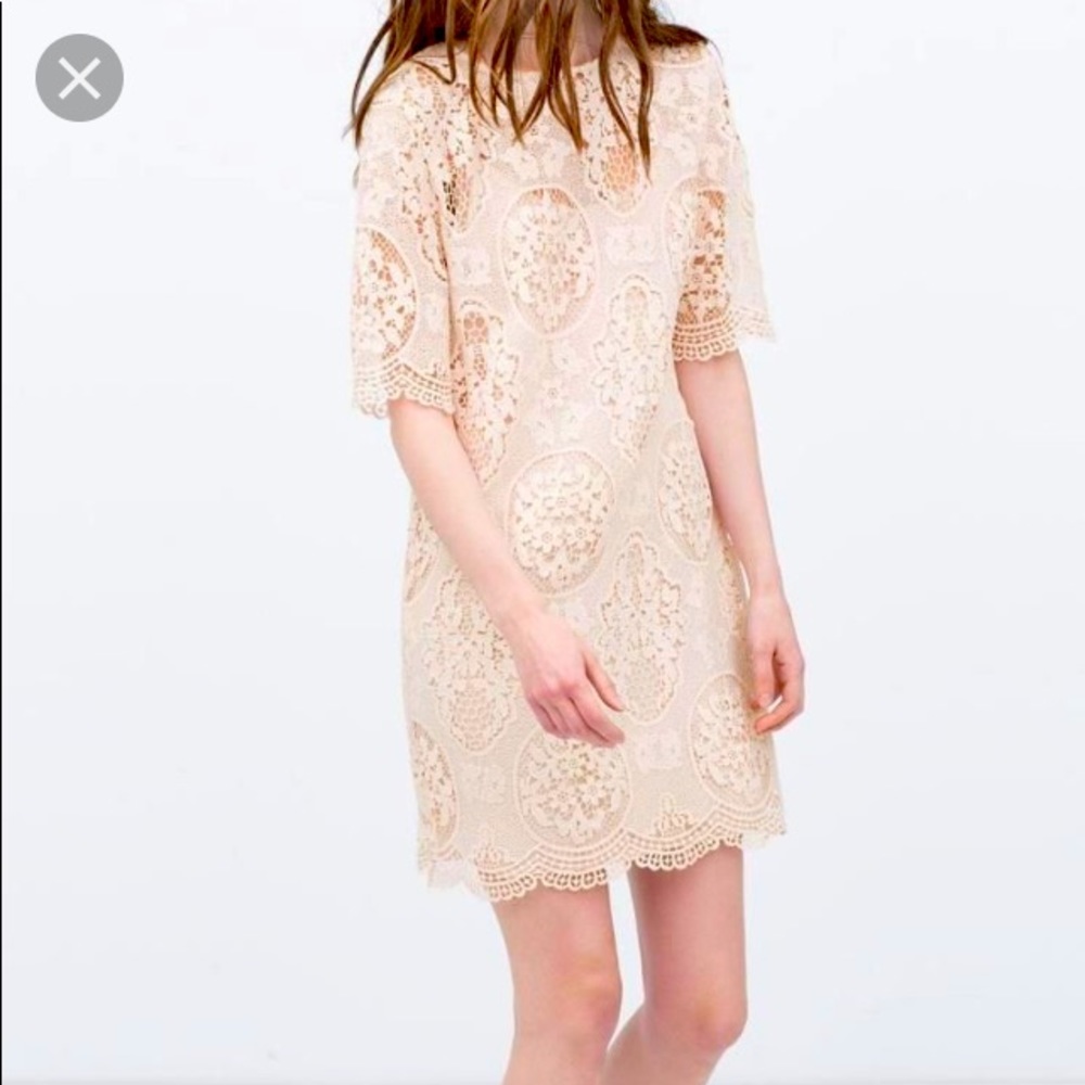 Zara pink lace dress - Size Small